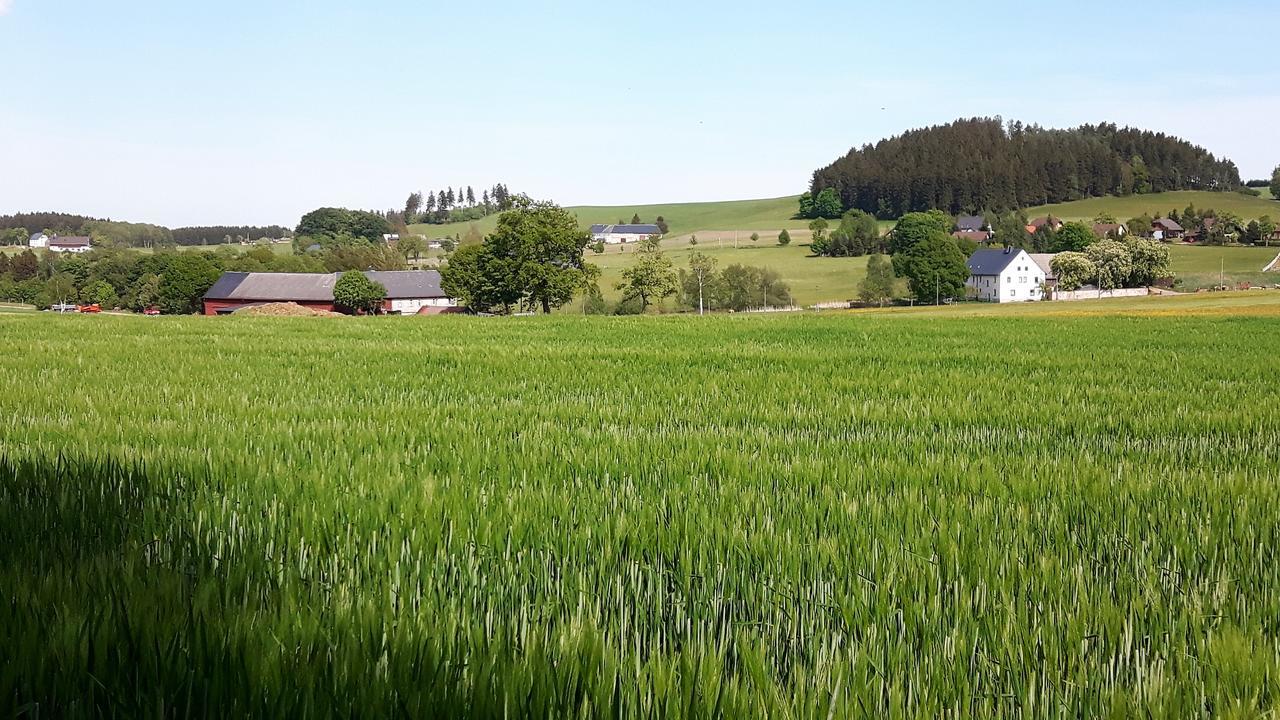 Landhotel "Lichte Aue" Lichtenau Stutzengrun Экстерьер фото